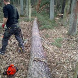 Zakład Usług Leśnych FIRMA LAS - Doskonałe Nawadnianie Ogrodów Kłobuck