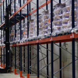 Wózek widłowy Linde obsługiwany przez pracownika w pomarańczowej kamizelce, umieszcza palety z zapakowanymi produktami na wysokich regałach magazynowych z niebieskimi słupkami i pomarańczowymi...