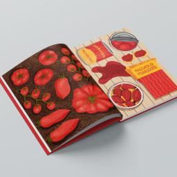 Identyfikacja wizualna Kraków 2