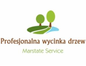 wycinka drzew