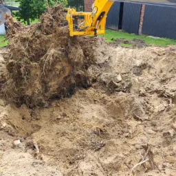 Żółty chwytak koparki podnosi wykopany system korzeniowy drzewa nad dużym dołem w ziemi, widoczne fragmenty cegieł.