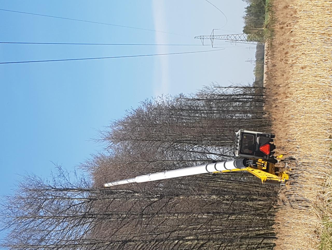 Żółty podnośnik koszowy z długim, białym ramieniem na tle rzędu drzew bez liści i pola z wysoką trawą, z widoczną w oddali linią wysokiego napięcia i słupem energetycznym.