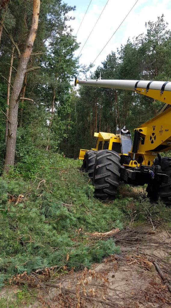 Żółta maszyna do wycinki drzew z długim ramieniem w lesie, obok leżą ścięte gałęzie i igliwie.
