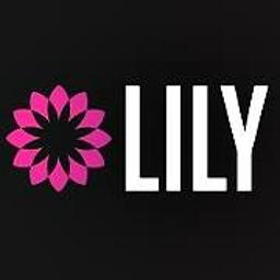 LILY Dawid Helios - Budowa dróg Zacharzowice
