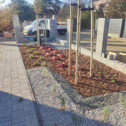 Ogrody TG Tarnowskie Góry - Świeżo założony ogród z drzewkami podpartymi drewnianymi palikami, rabatami wysypanymi korą i kamieniami, obrzeża z szarych bloczków.