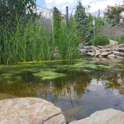 Zakładanie ogrodów Tarnowskie Góry 1