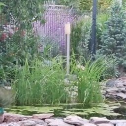 Zakładanie ogrodów Tarnowskie Góry 2