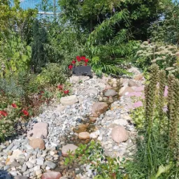 Ogród z płytkim strumieniem wypełnionym kamieniami, otoczony różnorodną roślinnością i kwiatami. Na górze kadru widoczny fragment ogrodzenia.