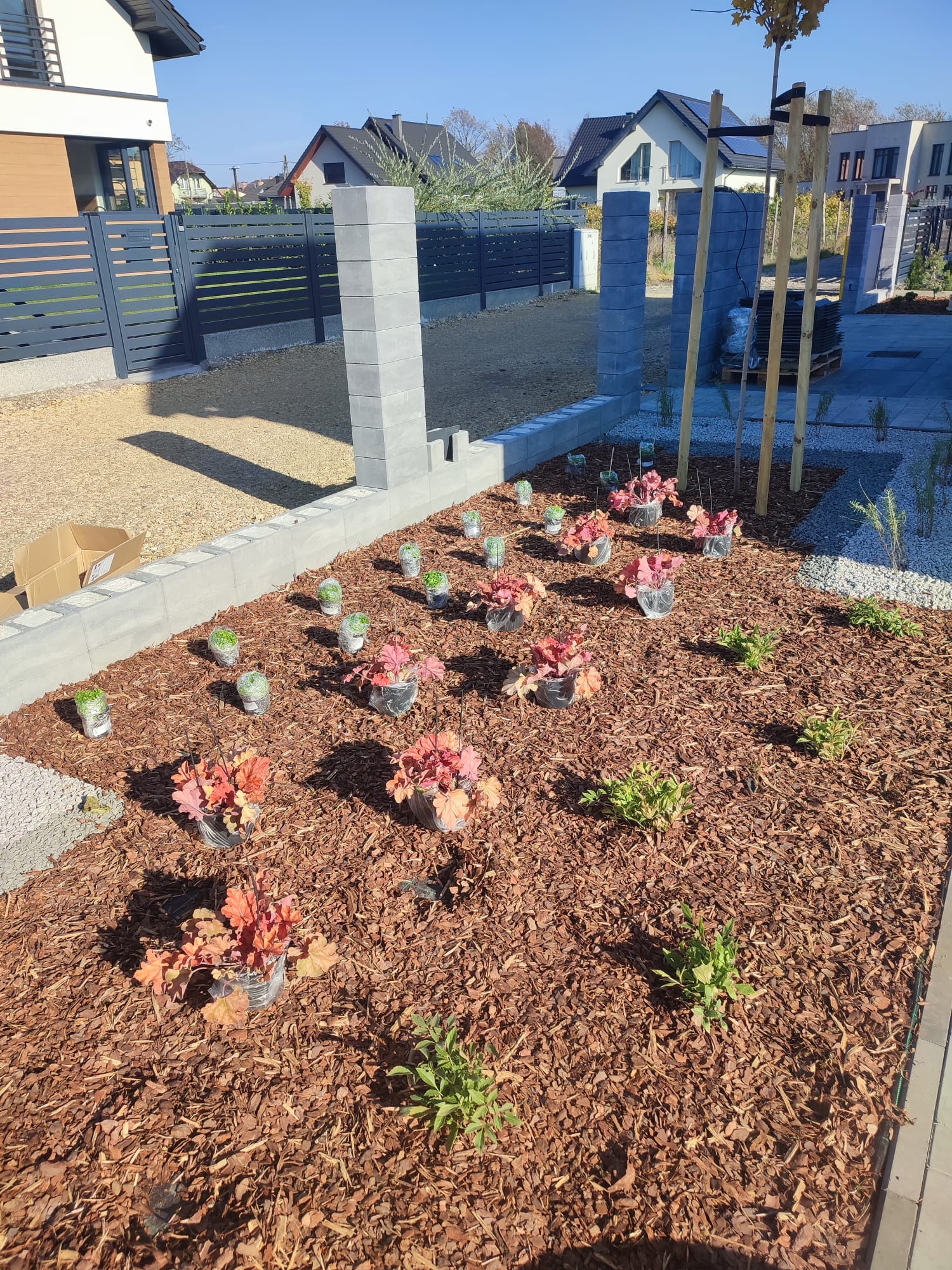 Nowo założony ogród z korą, świeżo posadzone rośliny w doniczkach i małe drzewko z palikami, otoczony nowoczesnym ogrodzeniem z betonowych elementów.