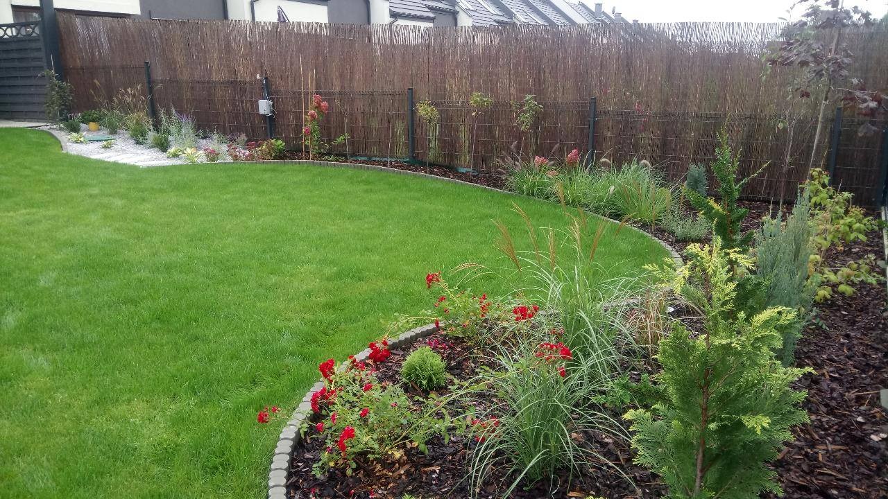 Zadbany trawnik z rabatami kwiatowymi i ozdobnymi krzewami, oddzielony obrzeżem. W tle bambusowy płot i dom. Układ roślin tworzy naturalny, estetyczny wygląd.