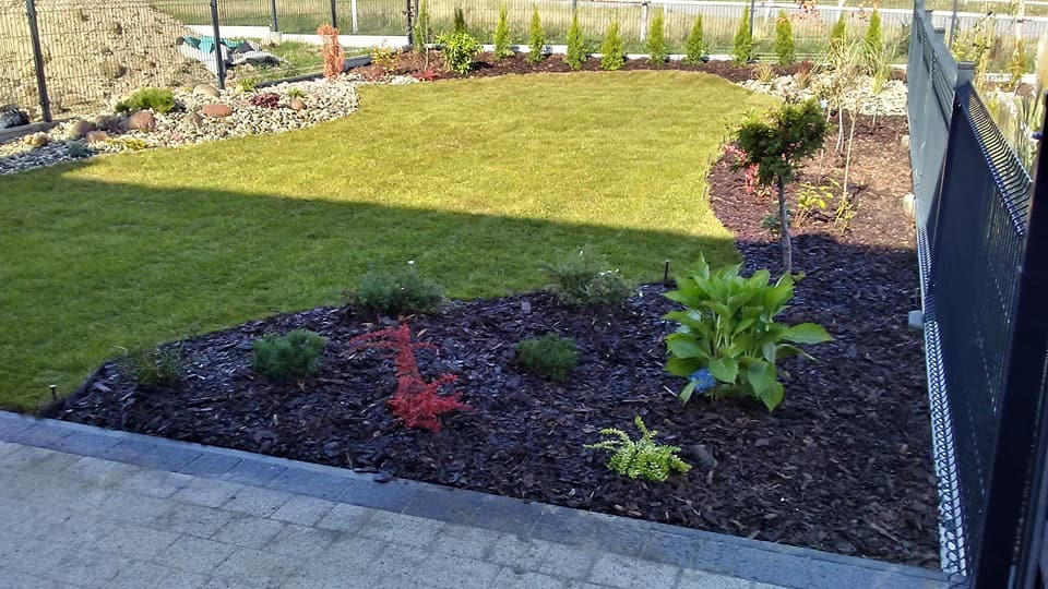 Zadbany ogród z równo przystrzyżonym trawnikiem, ozdobnymi kamieniami i korą, obrzeżem z kostki brukowej oraz tujami wzdłuż ogrodzenia.