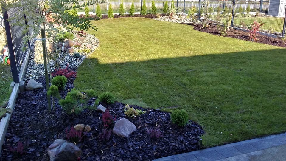 Zadbany trawnik z obrzeżami z kory i kamieni, niskie krzewy ozdobne, rząd tuj w tle, ogrodzenie panelowe. Widok na nowo założony ogród.