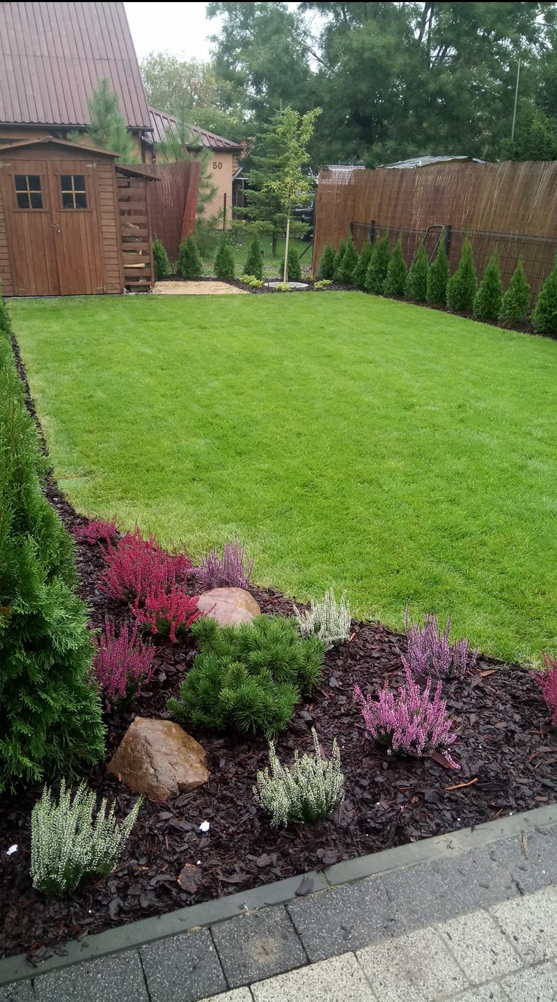 Zadbany trawnik z dekoracyjną rabatą z wrzosów i kamieni. W tle drewniana altana i żywopłot z tuj. Numer domu widoczny na budynku w tle.