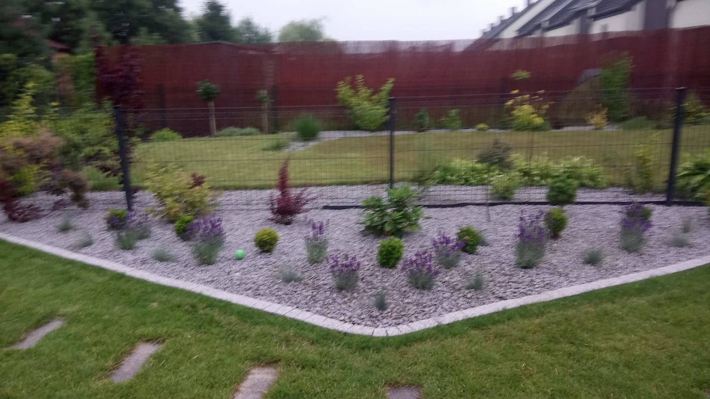 Kątowy rabat z szarym żwirem i lawendą, obrzeża z kostki, trawnik z kamiennymi płytami, siatka ogrodzeniowa i brązowe panele w tle. Mała zielona piłka na rabacie.