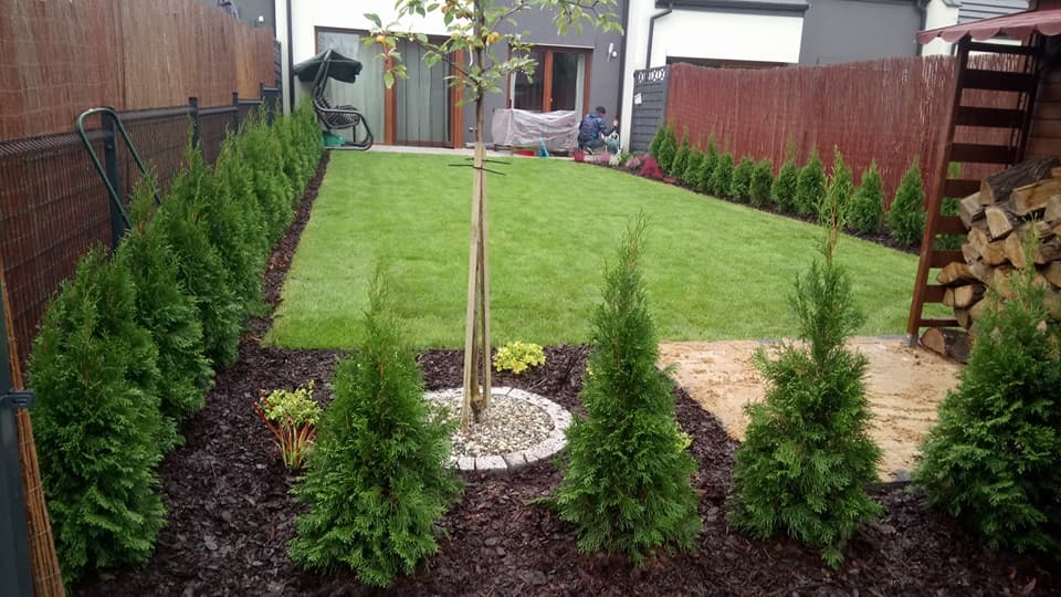 Zadbany ogród: równo przystrzyżony trawnik, szpaler tuj wzdłuż ogrodzenia i rabaty z korą, drzewko z obręczą z kamieni. W tle osoba w trakcie pracy.