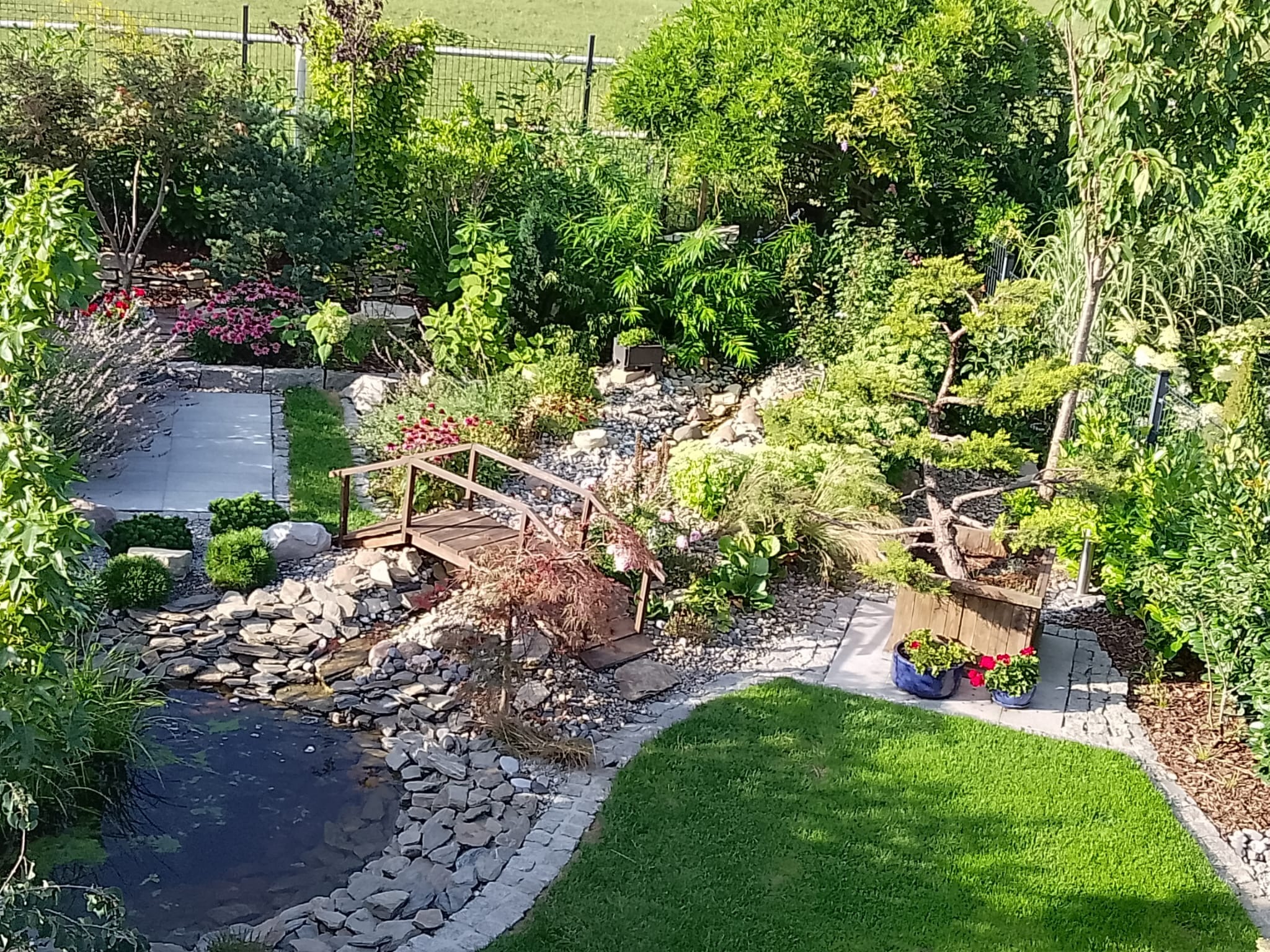 Widok z góry na malowniczy ogród z oczkiem wodnym, kamiennym kaskadą, drewnianym mostkiem i różnorodną roślinnością, w tym trawą, drzewami i kwiatami.