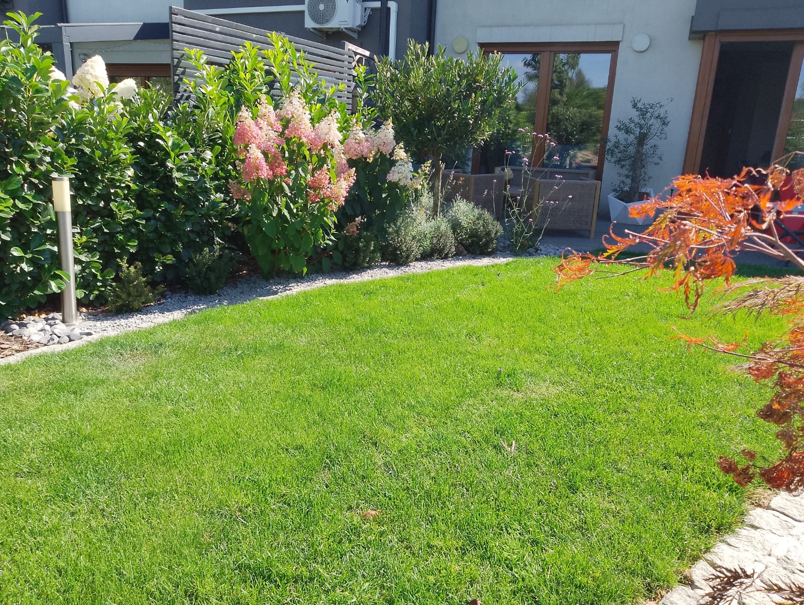 Zadbany trawnik z kwitnącymi hortensjami i ozdobnymi krzewami w nowoczesnym ogrodzie przydomowym. Widoczne elementy architektury budynku i oświetlenie.