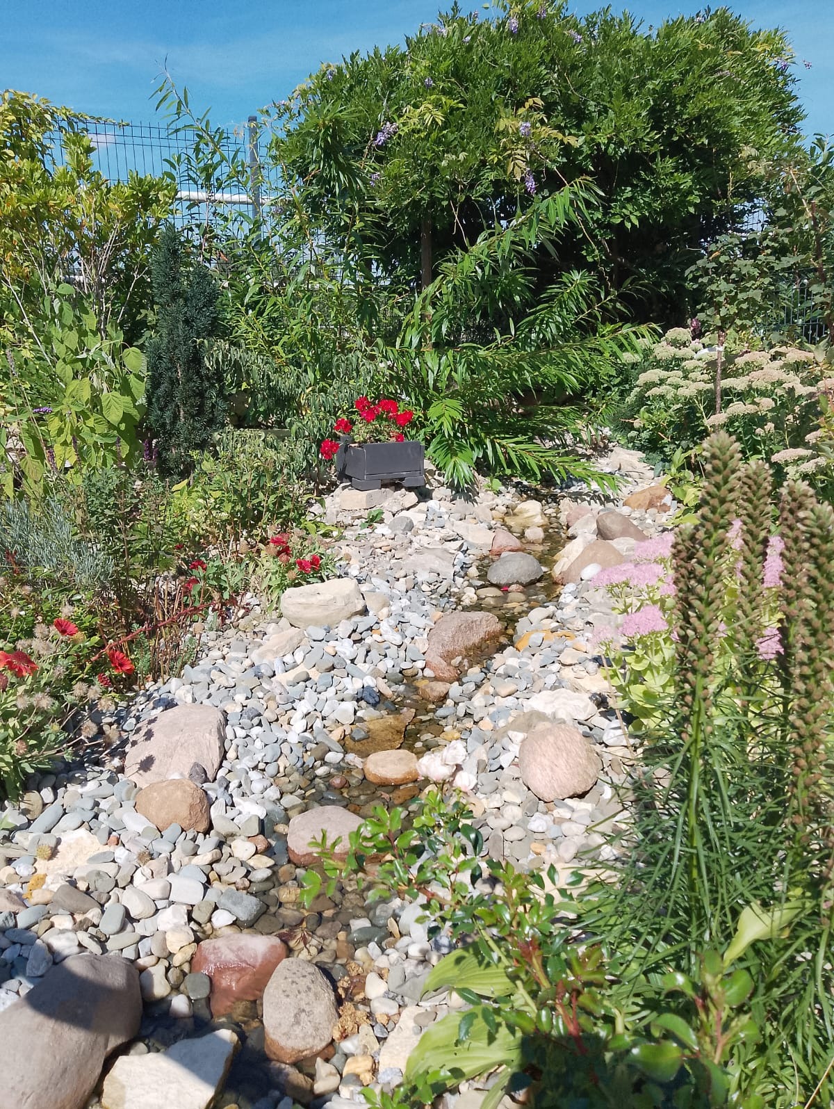 Ogród z płytkim strumieniem wypełnionym kamieniami, otoczony różnorodną roślinnością i kwiatami. Na górze kadru widoczny fragment ogrodzenia.