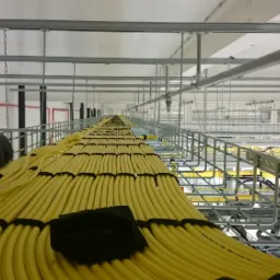 Ręce w szarych rękawicach układają równolegle wiązkę żółtych kabli w metalowej korycie kablowej pod sufitem, widok z dołu w perspektywie zbieżnej.