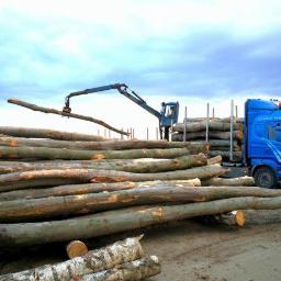 Drewno kominkowe Tryńcza 3