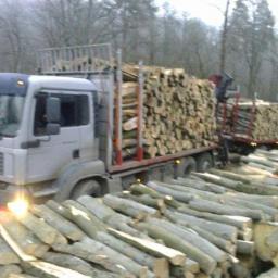 Drewno kominkowe Tryńcza 1