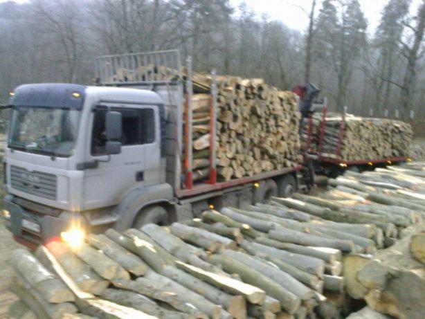 Ciężarówka z przyczepą załadowana pociętymi kłodami drewna, dodatkowy stos drewna wzdłuż drogi, widoczne drzewa w tle.