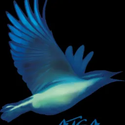 Grafika przedstawia stylizowaną, błękitną sylwetkę lecącego ptaka na czarnym tle, z nazwą 'ATEA' w dolnej części obrazu.