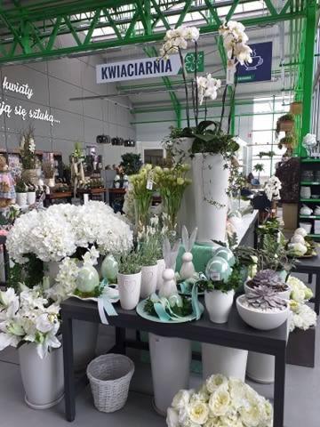 Aranżacja kwiatowa w kwiaciarni: białe hortensje, lilie i storczyki w białych donicach, dekoracje wielkanocne z króliczkami i wstążkami w pastelowych kolorach, widok na wnętrze sklepu z napisem...