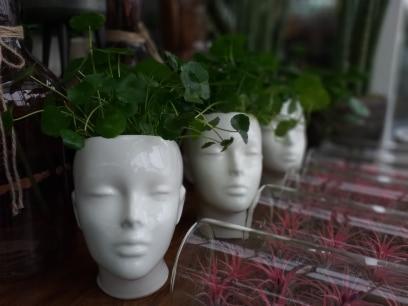 Trzy białe, ceramiczne doniczki w kształcie głowy z rosnącymi zielonymi roślinami, ustawione obok siebie na drewnianym blacie, z rozmytym tłem i widocznymi roślinami w szklanych probówkach...