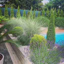 Projektowanie ogrodów Wrocław 2