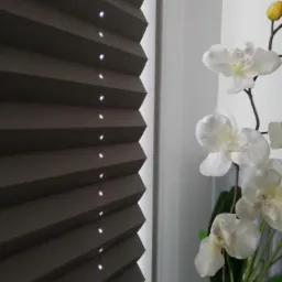 Zasłonięte okno brązową, plisowaną osłoną okienną z widocznymi promieniami światła, obok białe orchidee w wazonie.