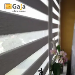 Szare i białe poziome pasy osłony okiennej typu dzień i noc z logo firmy Gaia, częściowo zasłaniające okno, z widoczną rośliną doniczkową z różowymi kwiatami na parapecie.