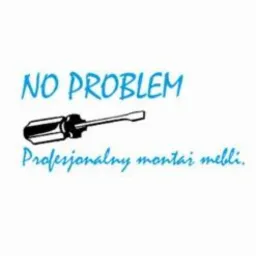 Niebieski napis 'NO PROBLEM' i 'Profesjonalny montaż mebli' z grafiką śrubokręta na białym tle.