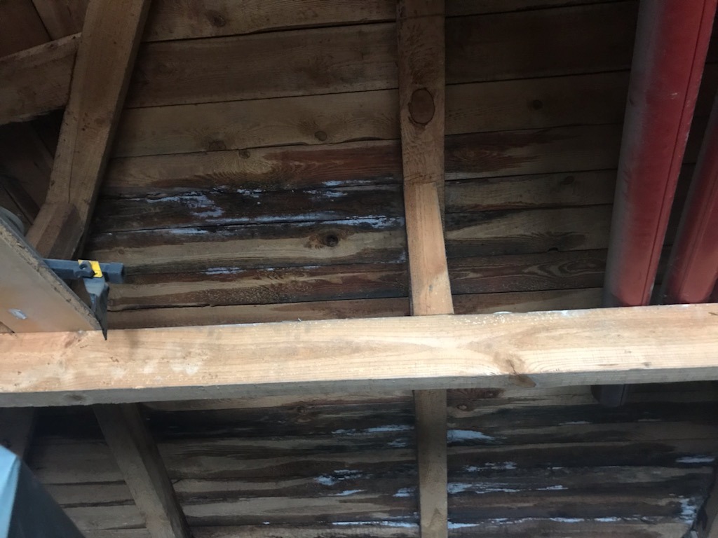 Drewniana konstrukcja dachu od wewnątrz z widocznymi śladami wilgoci i zaciekami, fragment czerwonych rur instalacyjnych w prawym górnym rogu, klamra stolarska przytrzymująca deskę na pierwszym...
