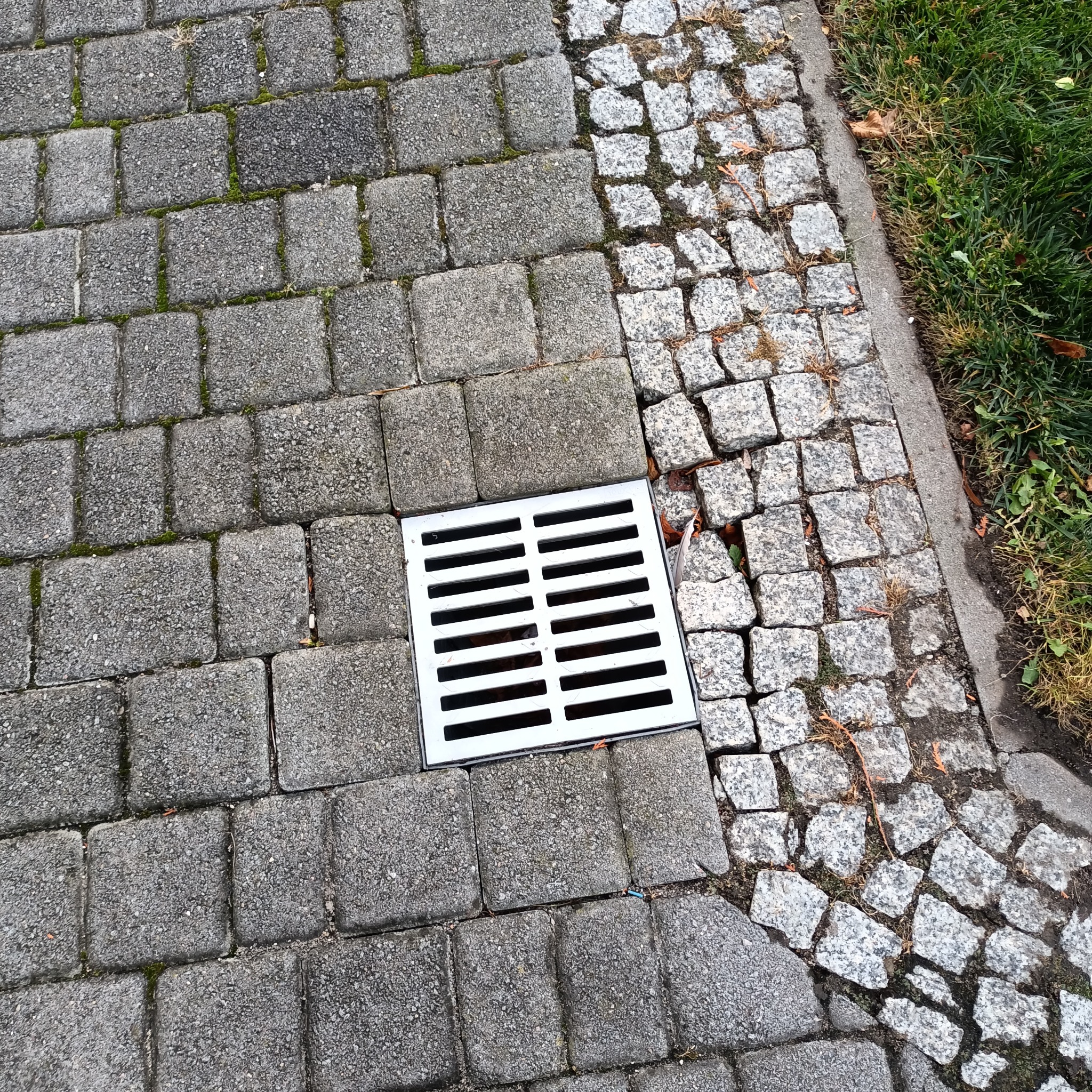 Szara kostka brukowa z metalową kratką odpływową w centrum, obok fragmentu chodnika z drobnej kostki granitowej i trawy.