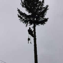 Łukasz - Ścinanie Drzew Dobromierz