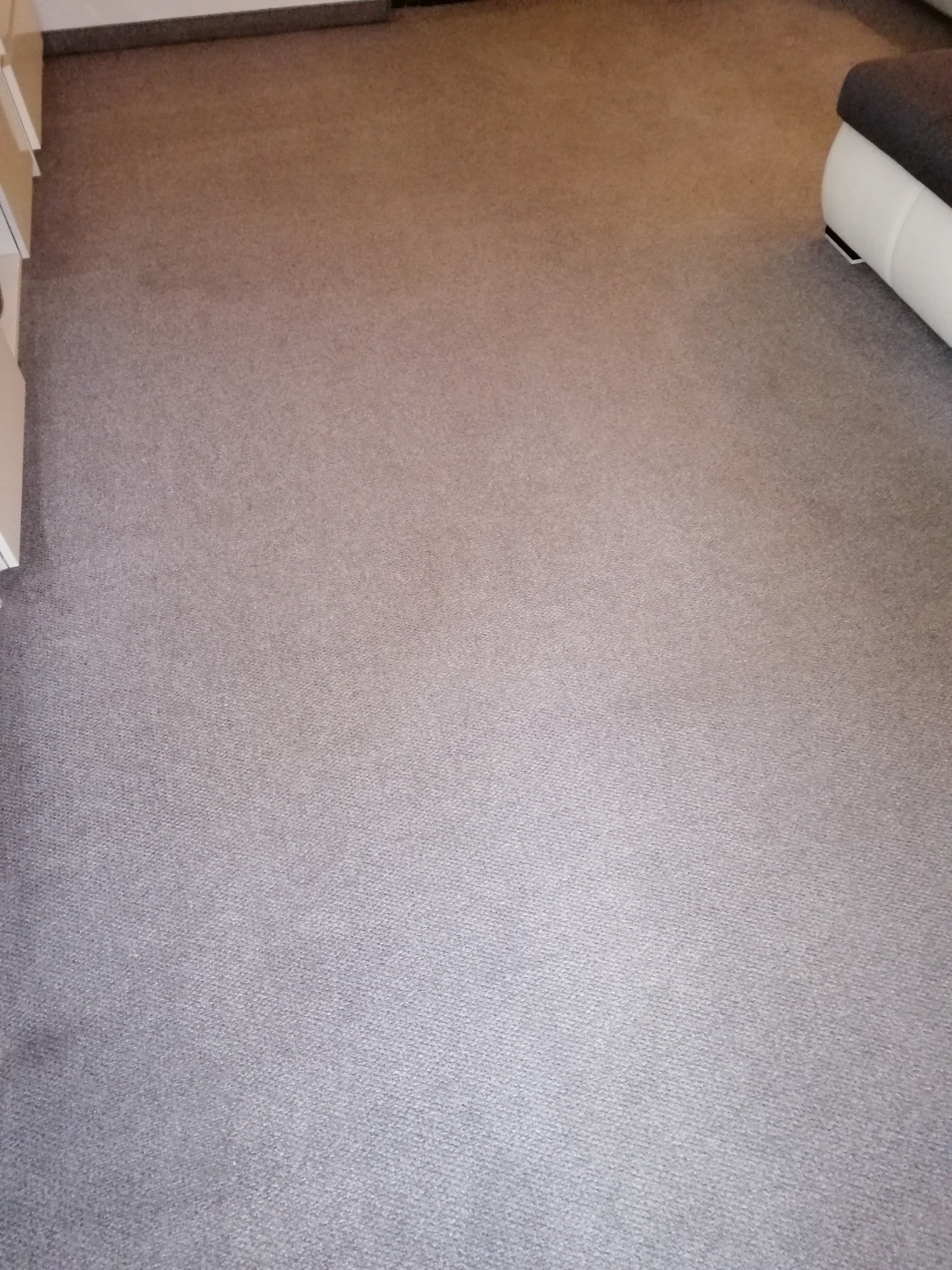 Szary dywan po czyszczeniu, widoczna struktura materiału, fragment białej sofy w prawym górnym rogu, ujęcie z góry.