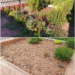 Pielęgnacja ogrodów Konin  3