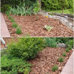 Pielęgnacja ogrodów Konin  2