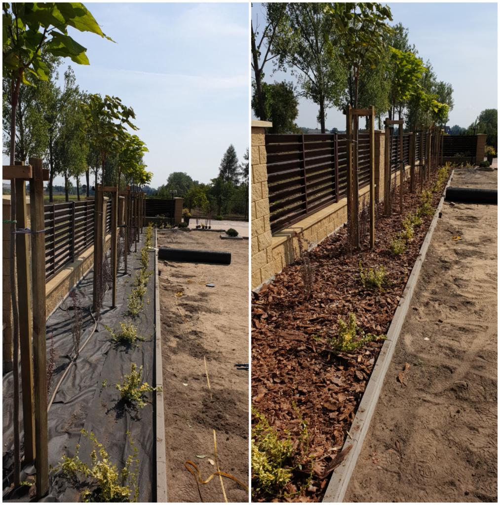 Porównanie dwóch etapów prac: po lewej stronie świeżo posadzone drzewka z podkładem z agrowłókniny, po prawej stronie rabata wykończona korą drzewną, widoczne ogrodzenie z elementami kamiennymi.