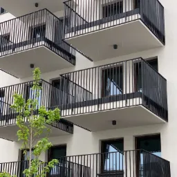 Nowoczesny budynek z balkonami z czarnymi, metalowymi balustradami, widok z dołu, z młodym drzewem na pierwszym planie.