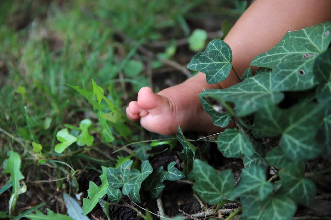 Mała stopa dziecka wystająca z zielonej trawy i bluszczu, widoczne palce u stopy.