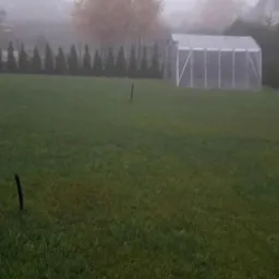 Mglisty poranek w ogrodzie z widokiem na szklarnię i świeżo skoszoną trawę. W tle rząd tuj i domy.