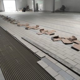 Glazurnik Siedliska 4