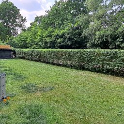 Pielęgnacja ogrodów Łebno 4