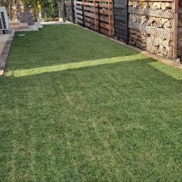 Marcin Malik - Perfekcyjnie ułożona trawa z rolki w ogrodzie, widoczna część osoby, drewniane elementy architektury ogrodowej w tle, równa powierzchnia trawnika.