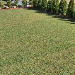 Marcin Malik - Świeżo ułożona trawa z rolki, widok z góry. W tle rząd tuj i płot z siatki. Na pierwszym planie wiadro i łopata.