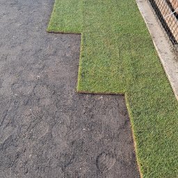 Marcin Malik - Układanie trawy z rolki na przygotowanym podłożu. Widoczna siatka wzmacniająca grunt. Świeża, zielona trawa kontrastuje z ciemną ziemią. Częściowo ukończony trawnik.