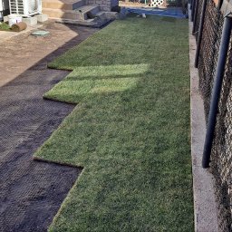 Marcin Malik - Układanie trawy z rolki: widok z góry na fragment ogrodu z rozłożoną trawą, z rolkami trawy w tle i siatką pod spodem. Widoczny wózek z trawą.