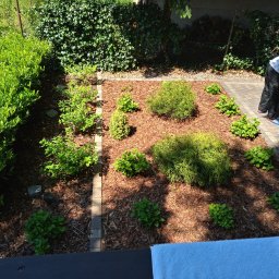 Marcin Malik - Świeżo posadzone krzewy i drzewka iglaste na rabacie wysypanej korą, widok z góry na ogród z osobą przyczepiającą przyczepkę.